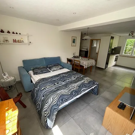 Bellevue Apartment *