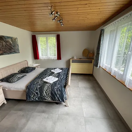 Bellevue Apartment Ringgenberg