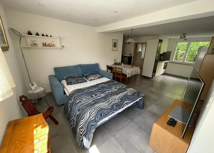 Bellevue Apartment *